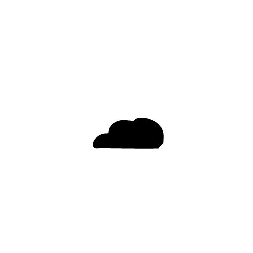 MiniRat