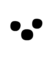 NPCB4