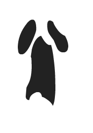 NPCG4